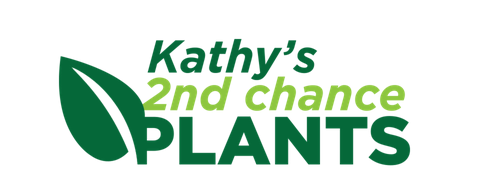 small business milwaukee