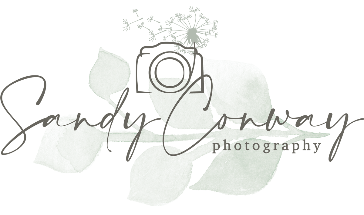 Sandy Conway Photography